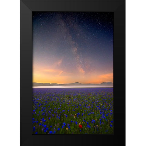 Night Flowers Black Modern Wood Framed Art Print by Marchegiani, Roberto