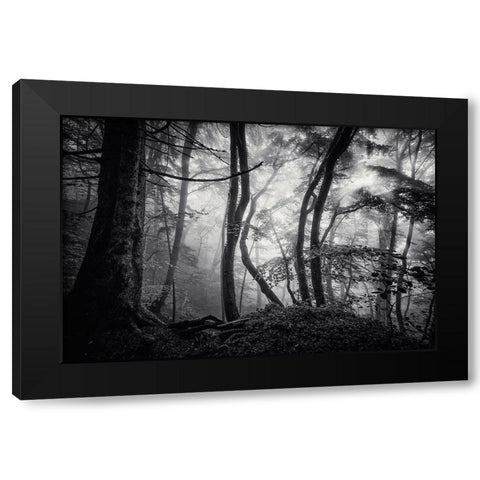 Mysterious Light Black Modern Wood Framed Art Print by Maier, Norbert
