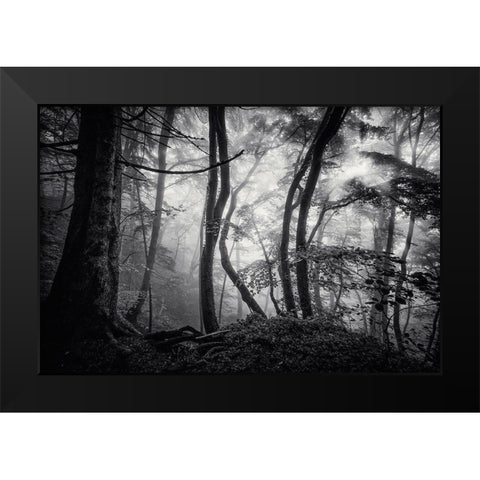 Mysterious Light Black Modern Wood Framed Art Print by Maier, Norbert