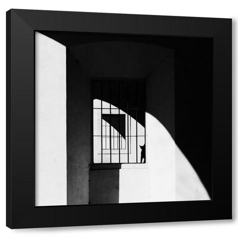 The Black Cat Black Modern Wood Framed Art Print with Double Matting by Della Latta, Massimo