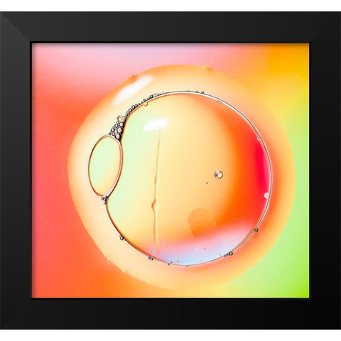 Eye Of Light Black Modern Wood Framed Art Print by Zocchi, Alessandro
