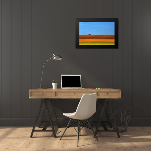The Tractor Black Modern Wood Framed Art Print by Della Latta, Massimo
