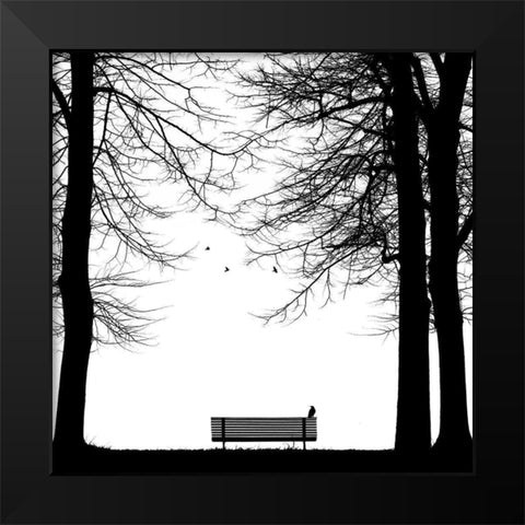 Il Corvo Black Modern Wood Framed Art Print by Della Latta, Massimo