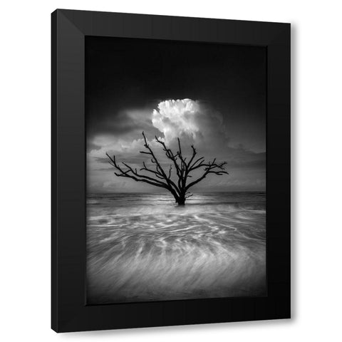 Oceanus Black Modern Wood Framed Art Print by Moore, Chris