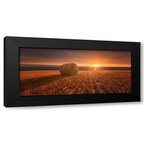 Gold Harvest Black Modern Wood Framed Art Print by Krakowski, Marcin