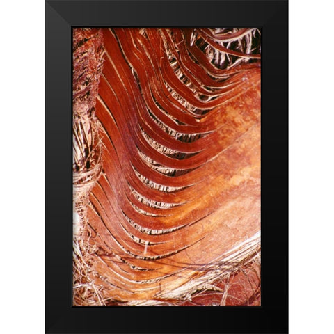 Palm Bark Black Modern Wood Framed Art Print by Blue, Cyril