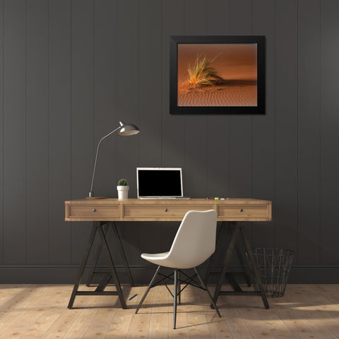 Grass, Sand Dune Sahara Black Modern Wood Framed Art Print by Blue, Cyril