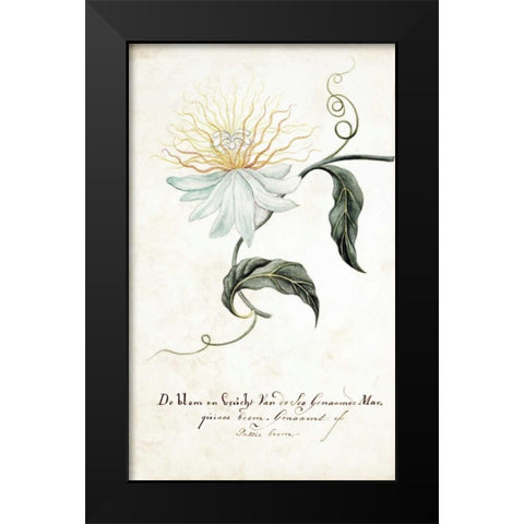 Passion Tree Black Modern Wood Framed Art Print by Markee, Cornelis