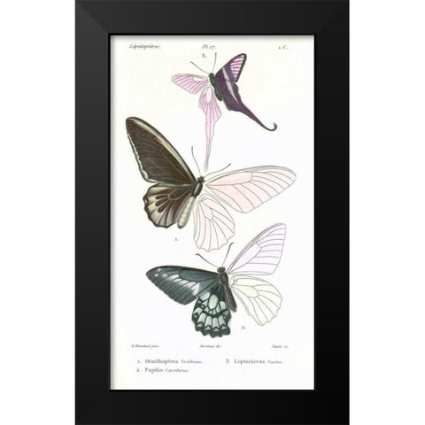 Butterflies, Plate 17 Black Modern Wood Framed Art Print by Blanchard, Emile