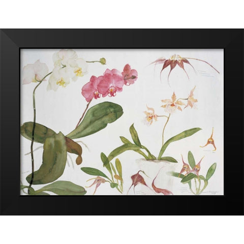 Orchid Studies Black Modern Wood Framed Art Print by Blackadder, Elizabeth