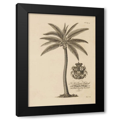 Coconut Palm Black Modern Wood Framed Art Print with Double Matting by Ehret, Georg