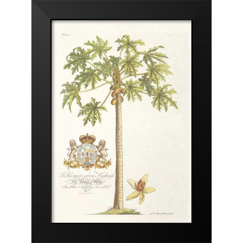 Papaya Tree Black Modern Wood Framed Art Print by Ehret, Georg