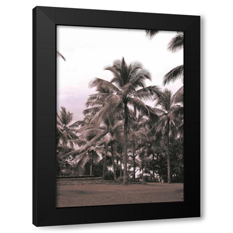 Coconut Palm, Serai Black Modern Wood Framed Art Print by Blue, Cyril