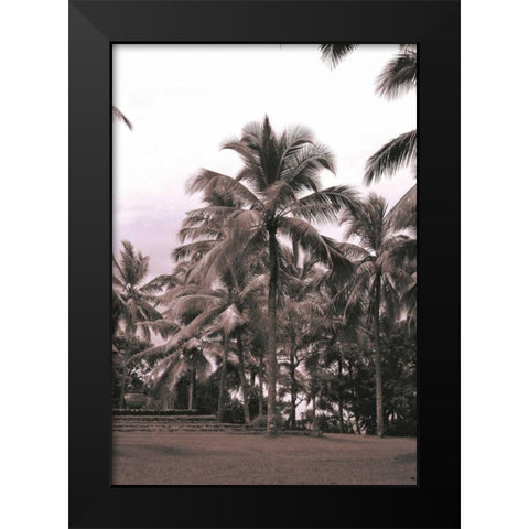Coconut Palm, Serai Black Modern Wood Framed Art Print by Blue, Cyril
