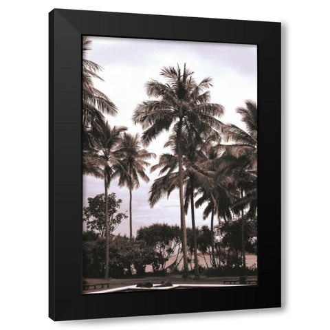 Coconut Grove, Candidasa Black Modern Wood Framed Art Print by Blue, Cyril