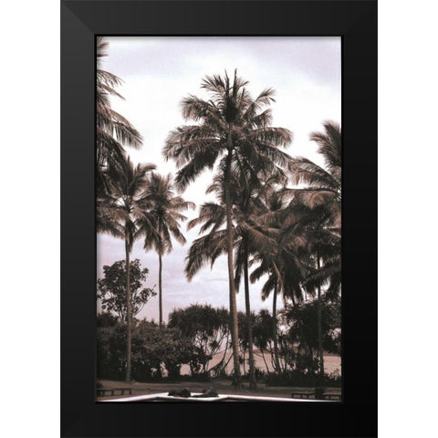 Coconut Grove, Candidasa Black Modern Wood Framed Art Print by Blue, Cyril