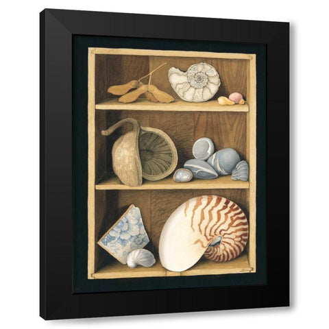 Shells on Shelves Black Modern Wood Framed Art Print by Baron, Jenny