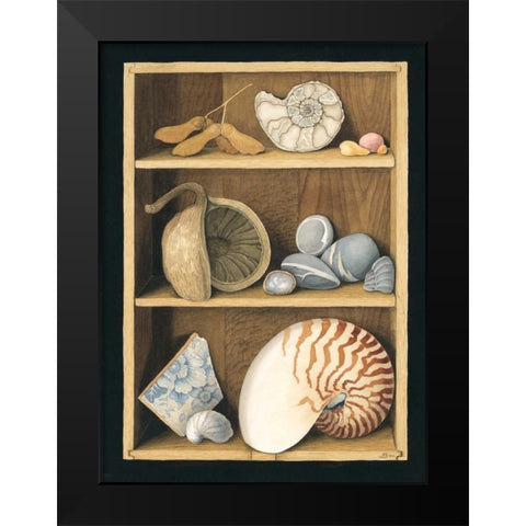 Shells on Shelves Black Modern Wood Framed Art Print by Baron, Jenny