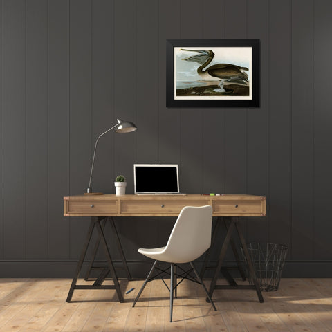Brown Pelican Black Modern Wood Framed Art Print by Audubon, John James