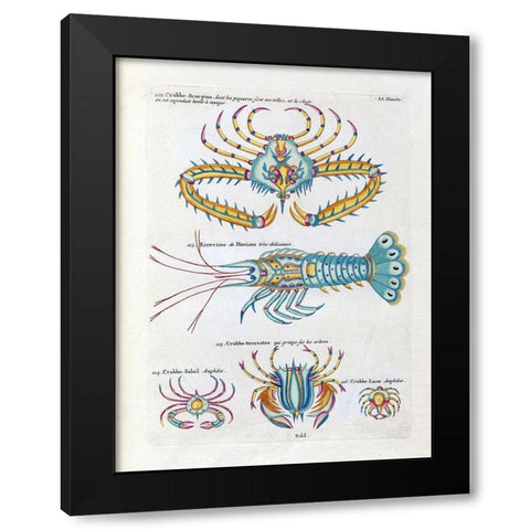 Crabbe- Scorpion Black Modern Wood Framed Art Print by Renard, Louis