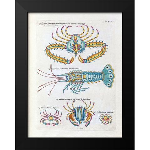 Crabbe- Scorpion Black Modern Wood Framed Art Print by Renard, Louis