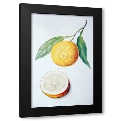 Orange Black Modern Wood Framed Art Print with Double Matting by Ledoulx, Pierre