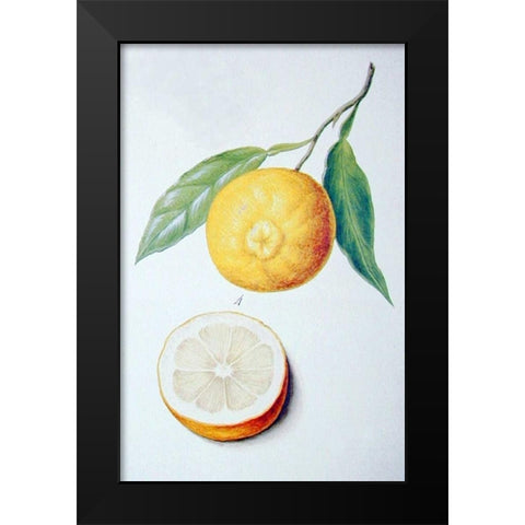 Orange Black Modern Wood Framed Art Print by Ledoulx, Pierre