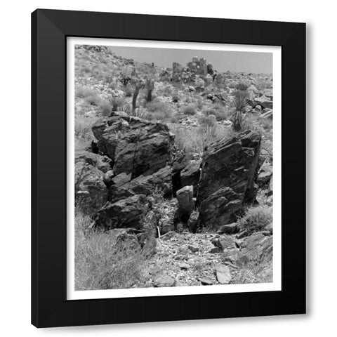 Twentynine Palms, San Bernadino, c1910 Black Modern Wood Framed Art Print with Double Matting by Anonymous