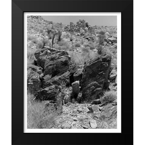 Twentynine Palms, San Bernadino, c1910 Black Modern Wood Framed Art Print by Anonymous