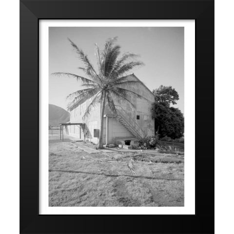 Palm Tree, Naval Magazine Bldg, Hawaii, c1907 Black Modern Wood Framed Art Print by Anonymous