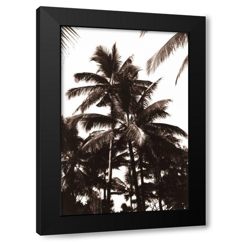 Coconut Palm, Bali Black Modern Wood Framed Art Print with Double Matting by Blue, Cyril