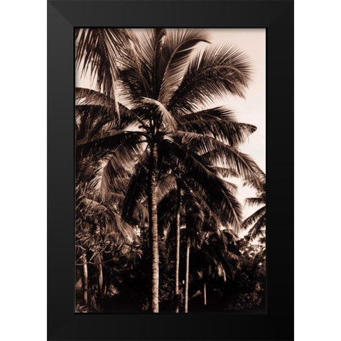 Coconut Palm, Bali Black Modern Wood Framed Art Print by Blue, Cyril