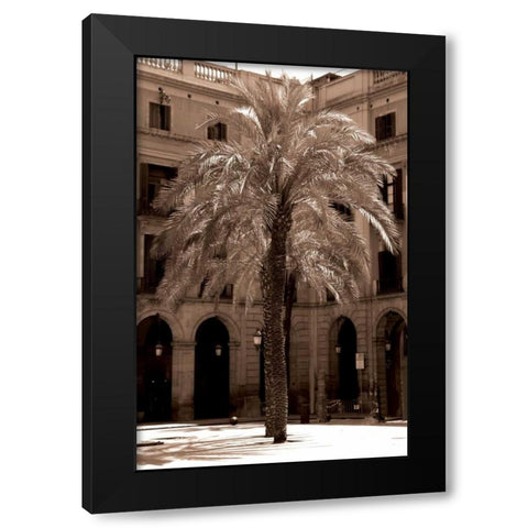 Canary Palm, Barcelona Black Modern Wood Framed Art Print by Blue, Cyril