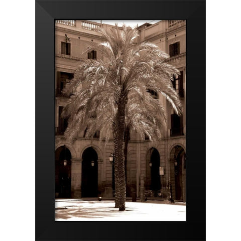 Canary Palm, Barcelona Black Modern Wood Framed Art Print by Blue, Cyril