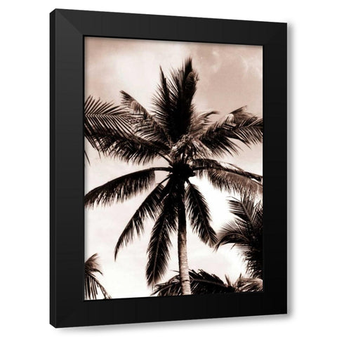 Coconut Palm, Bali Black Modern Wood Framed Art Print with Double Matting by Blue, Cyril