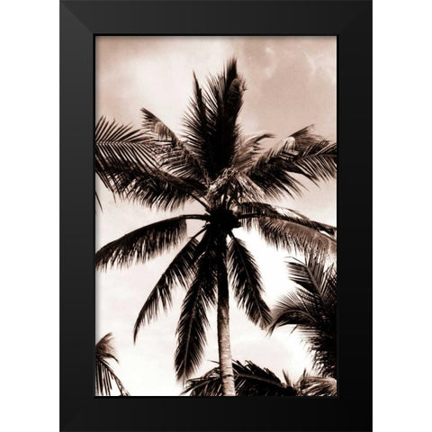 Coconut Palm, Bali Black Modern Wood Framed Art Print by Blue, Cyril