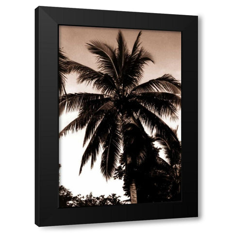 Coconut Palm, Bali Black Modern Wood Framed Art Print by Blue, Cyril