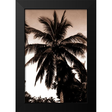 Coconut Palm, Bali Black Modern Wood Framed Art Print by Blue, Cyril