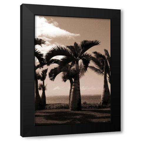 Date Palm, Mauritius Black Modern Wood Framed Art Print with Double Matting by Blue, Cyril