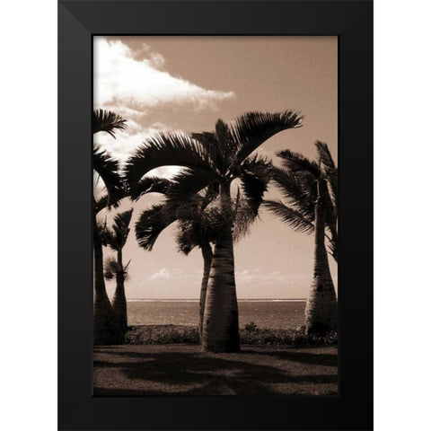 Date Palm, Mauritius Black Modern Wood Framed Art Print by Blue, Cyril
