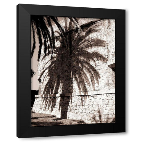 Palm Shadow, Antibes Black Modern Wood Framed Art Print by Blue, Cyril