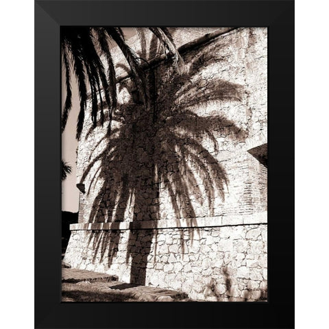 Palm Shadow, Antibes Black Modern Wood Framed Art Print by Blue, Cyril