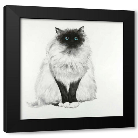 Blue Eyes Fluffy Siamese Cat Black Modern Wood Framed Art Print with Double Matting by Atelier B Art Studio