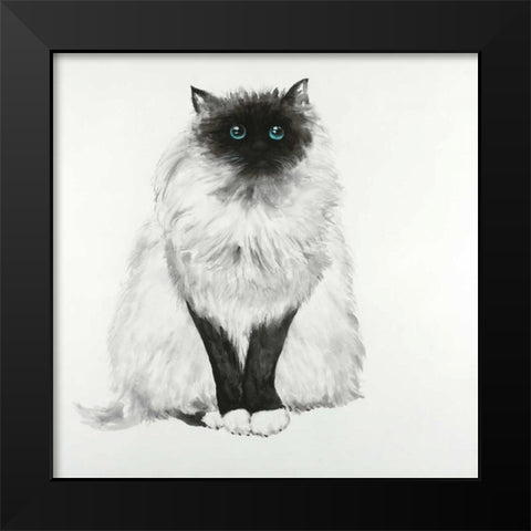 Blue Eyes Fluffy Siamese Cat Black Modern Wood Framed Art Print by Atelier B Art Studio