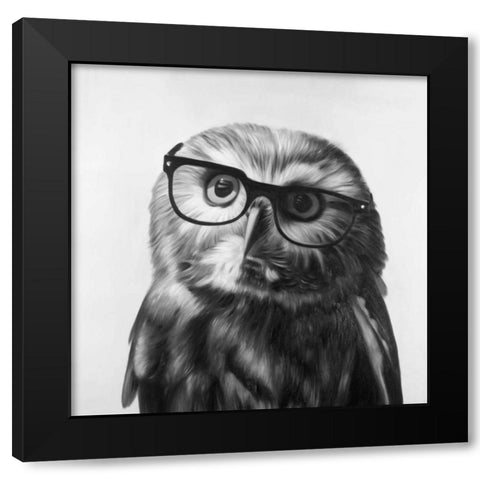 Realistic Northern Saw-whet Owl with Glasses Black Modern Wood Framed Art Print with Double Matting by Atelier B Art Studio