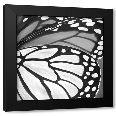 Black and White Monarch Black Modern Wood Framed Art Print with Double Matting by Atelier B Art Studio