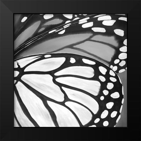 Black and White Monarch Black Modern Wood Framed Art Print by Atelier B Art Studio