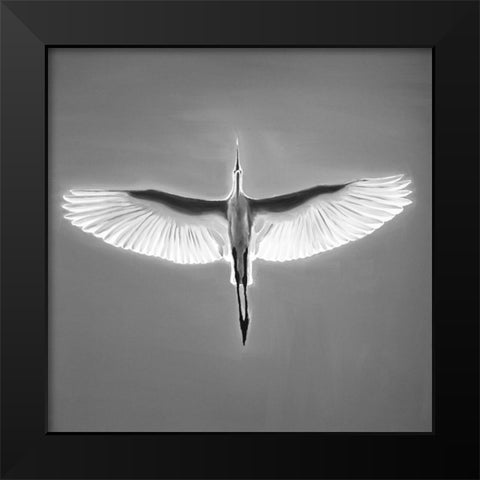 GREAT BLUE HERON IN FLIGHT Black Modern Wood Framed Art Print by Atelier B Art Studio