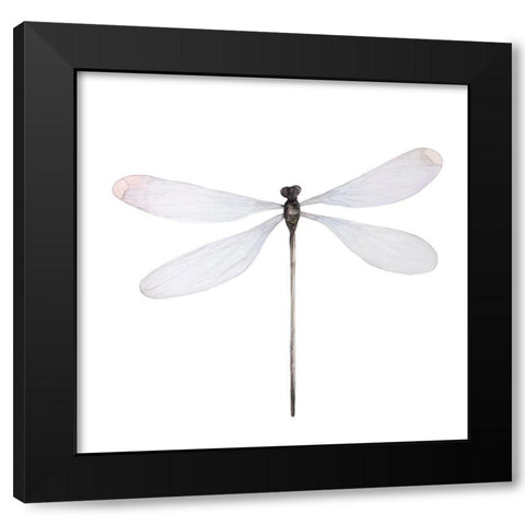 MINIMALIST DRAGONFLY Black Modern Wood Framed Art Print with Double Matting by Atelier B Art Studio