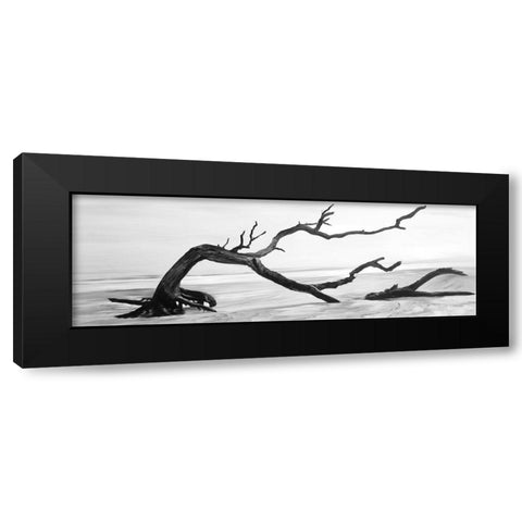 DEAD TREE IN THE MIDDLE OF WATER Black Modern Wood Framed Art Print with Double Matting by Atelier B Art Studio